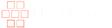 Distrupt logo light